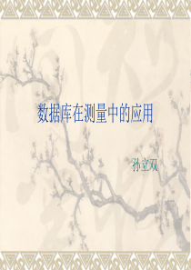 数据库在测量中的应用第一讲