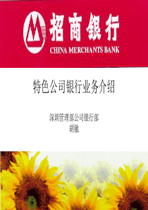 招商银行特色公司银行业务(ppt 27)