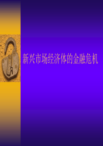 新兴市场经济体的金融危机(1)