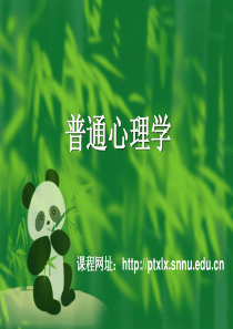 彭聃龄普通心理学第一章.