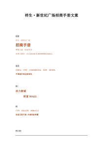 新世纪广场招商手册文案