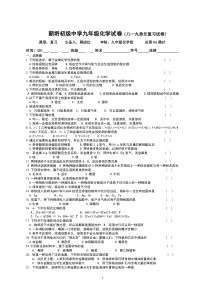 新人教版九年级化学8-9单元复习练习