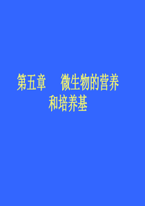 微生物M营养