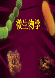 微生物学讲义第一章.