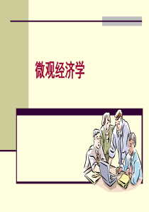 微观经济学第一章供求理论
