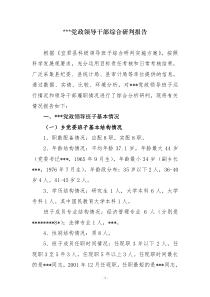 班子研判报告