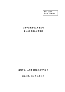 山东莘县颖泰化工有限公司危险化学品重大危险源应急预案修订