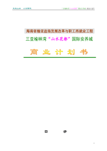 山水花都商业计划书