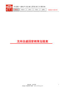 恋日水岸大道项目策划案