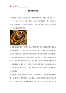 崖柏的特点功效