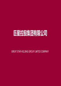 巨星科技介绍.