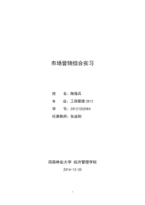 市场营销实习报告