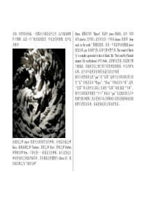 希腊神话故事与雅思阅读核心词汇--之创世五神