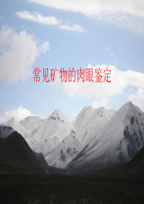 常见矿物的肉眼鉴定(彩图).