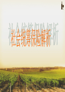 社会统筹保险解析
