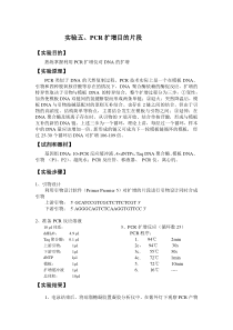 实验5PCR扩增目的片段