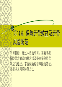 第14章保险经营效益及经营(保险学-湖南大学韦蕊)