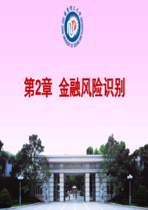第2章金融风险识别
