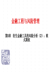 第5章衍生金融工具的风险分析(2)欧式期权(金融工程与