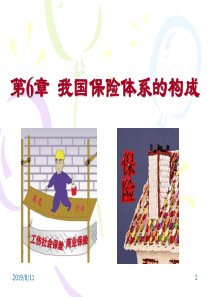 第6章我国保险体系构成