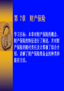 第7章财产保险