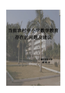 当前中小学数学教育存在的问题及建议