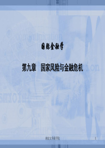 第九章国家风险与金融危机