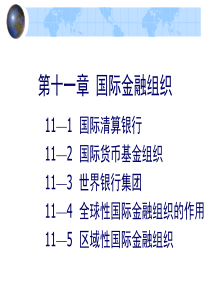 第九章国际金融机构及协调