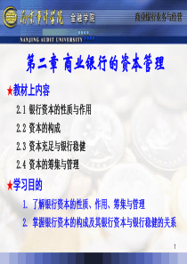 第二章商业银行的资本管理