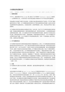 小动物活体成像技术