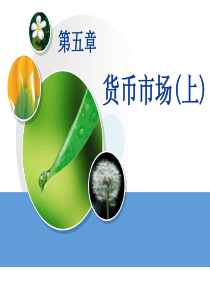 第五章货币市场(上)(金融市场学-人民银行,杜金富)