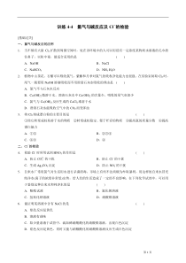 必修1第四章训练4氯气与碱反应氯离子检验