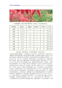 小红枫价格