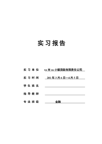 小额贷款金融公司实习报告