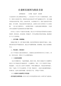 小麦冬季麦田管理论文