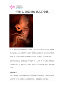 怀孕17周妈妈和胎儿的变化