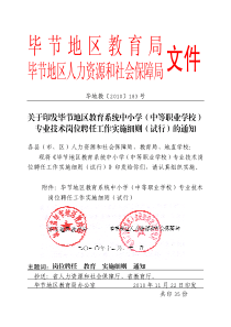 毕地教〔2010〕183号关于印发毕节地区教育系统中小学(中等职业学校)专业技术岗位聘任工作实施细则