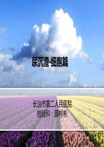 尿沉渣细胞篇.