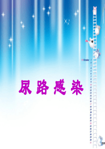尿路感染-课件.