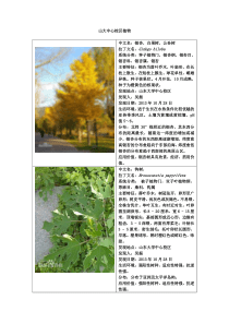 山东大学植物学电子标本