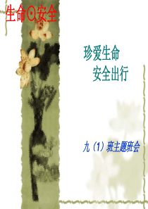 珍爱生命--安全出行--主题班会