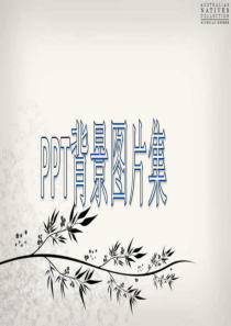 精美PPT背景图片集