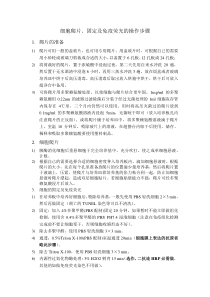 细胞爬片、固定及免疫荧光的操作步骤