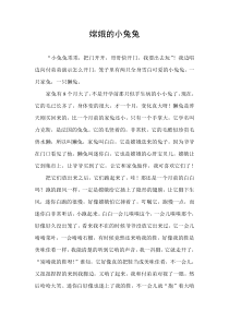 嫦娥的小兔兔