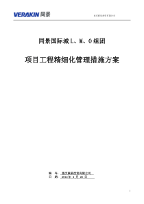 工程项目精细化管理控制方案