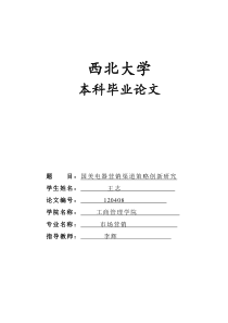 国美电器营销渠道策略创新研究)