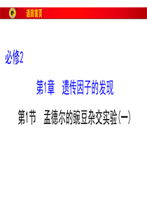 孟德尔定律+伴性遗传