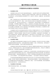 市场营销专业创新设计实践报告