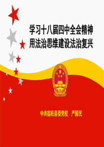 学习十八届四中全会精神.