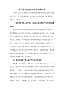 学习新《安全生产法》心得体会